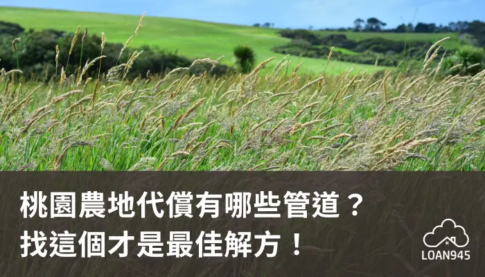 桃園農地代償有哪些管道？找這個才是最佳解方！【貸款就找我】